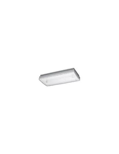 Gewiss GW80901 Startec check plafón de pared np 6w 1h